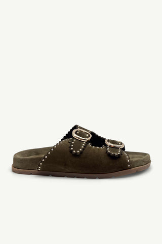 Azura Olive