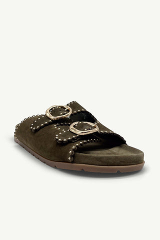 Azura Olive