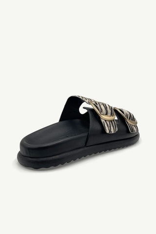 Beckett Black + Zebra