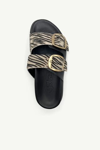 Beckett Black + Zebra