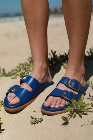 Beckett Catalina Blue