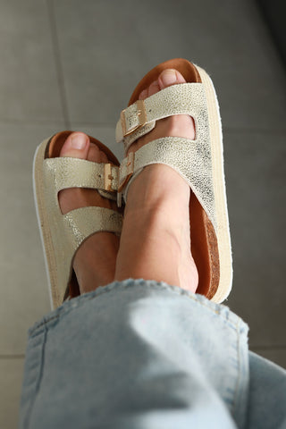 Chicago Metallic Gold Spec