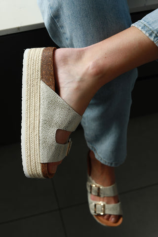 Chicago Metallic Gold Spec