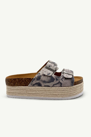 Chicago Grey Leopard