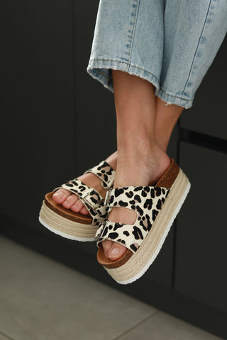 Chicago Muted Leopard