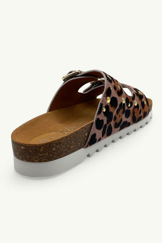 Hudson Purple Brown Snake