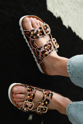 Hudson Purple Brown Snake