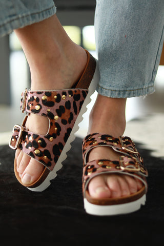 Hudson Purple Brown Snake