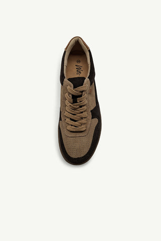 James Beige + Brown
