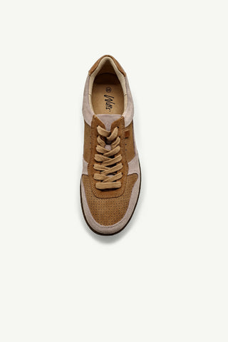 James Beige + Camel