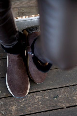 Jet Chestnut