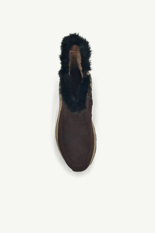 Jet Chestnut