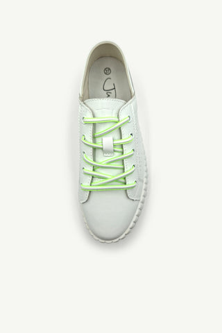 Shoe Laces - Elastic