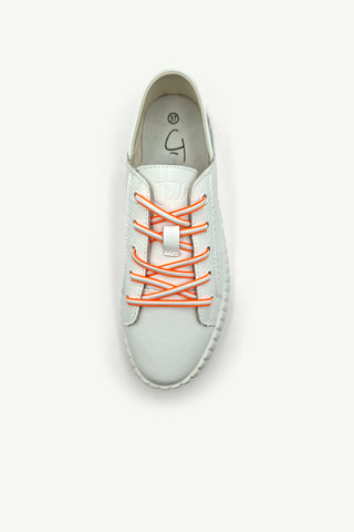 Shoe Laces - Elastic