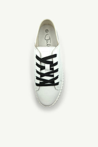 Shoe Laces - Flat