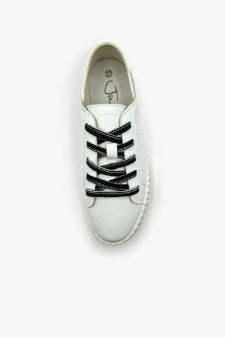 Shoe Laces - Flat