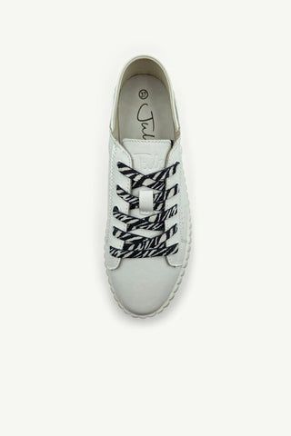 Shoe Laces - Flat