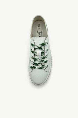 Shoe Laces - Flat