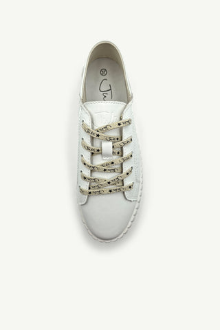 Shoe Laces - Flat