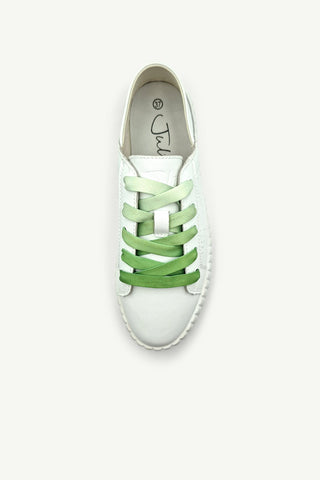 Shoe Laces - Flat