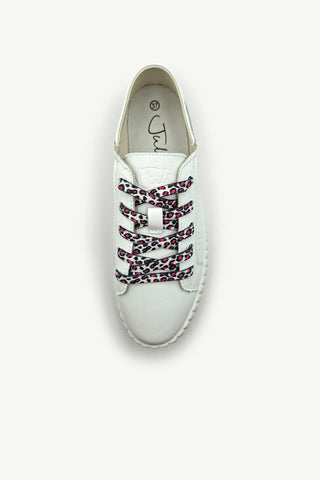 Shoe Laces - Flat
