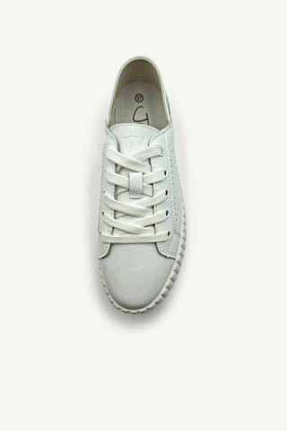 Shoe Laces - Flat