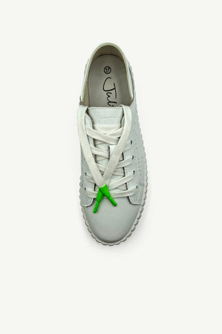 Shoe Laces - Flat