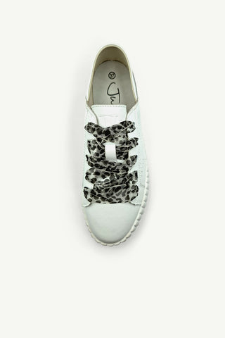 Shoe Laces - Ribbon