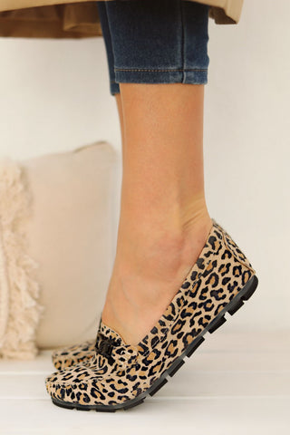 Lidy Leopard