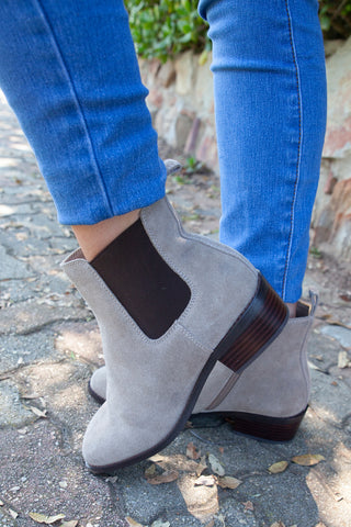 Lucca Camel