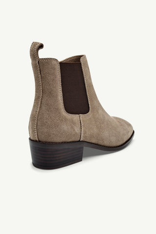 Lucca Camel