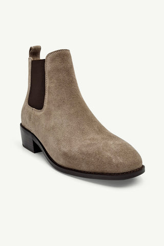 Lucca Camel