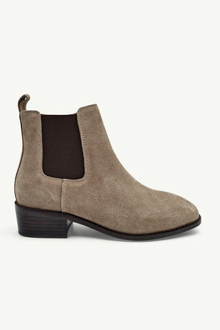Lucca Camel
