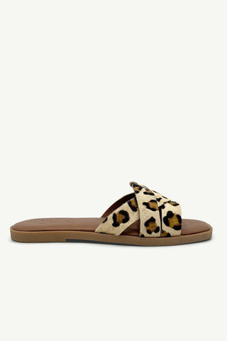 Neo Leopard