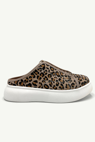 Orla Leopard