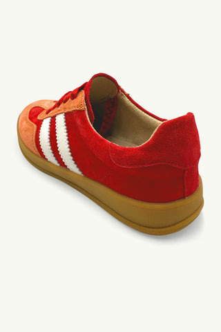 Shiloh Red, Orange + White