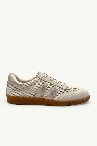 Shiloh Beige