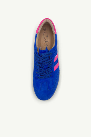 Shiloh Electric Blue