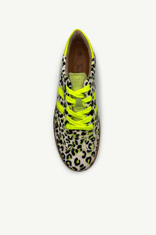 Shiloh Electric Cheetah