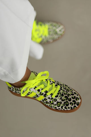 Shiloh Electric Cheetah