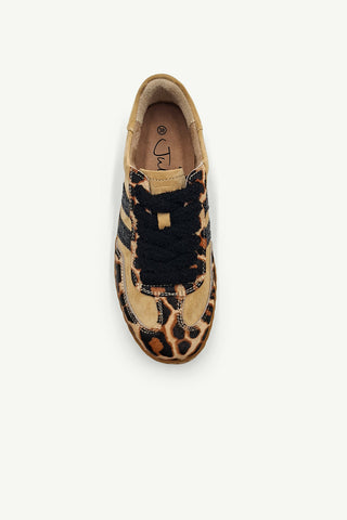 Shiloh Sand + Leopard