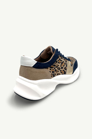 Tommaso Leopard + Navy