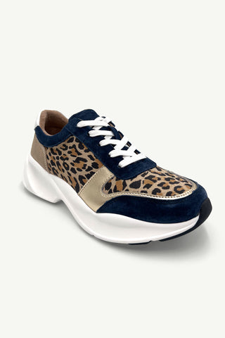 Tommaso Leopard + Navy