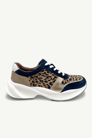 Tommaso Leopard + Navy