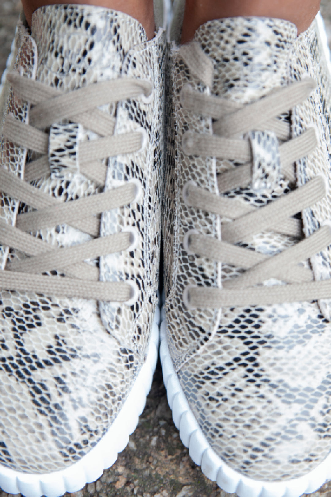 Valentina Beige Snake