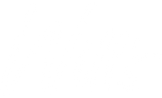 Will's Shoes Logo